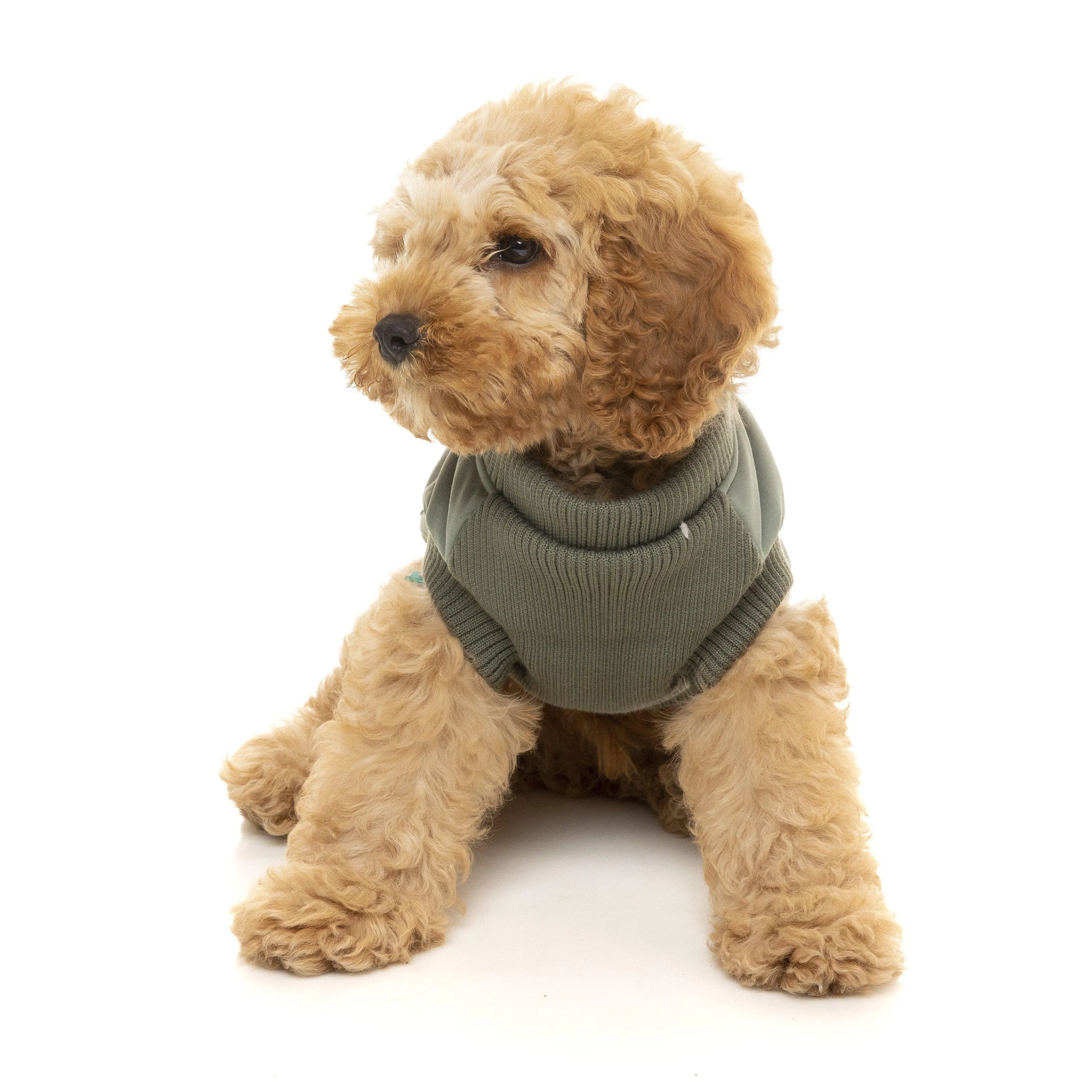 FuzzYard | MacGyver Dog Harness Jacket - Sage