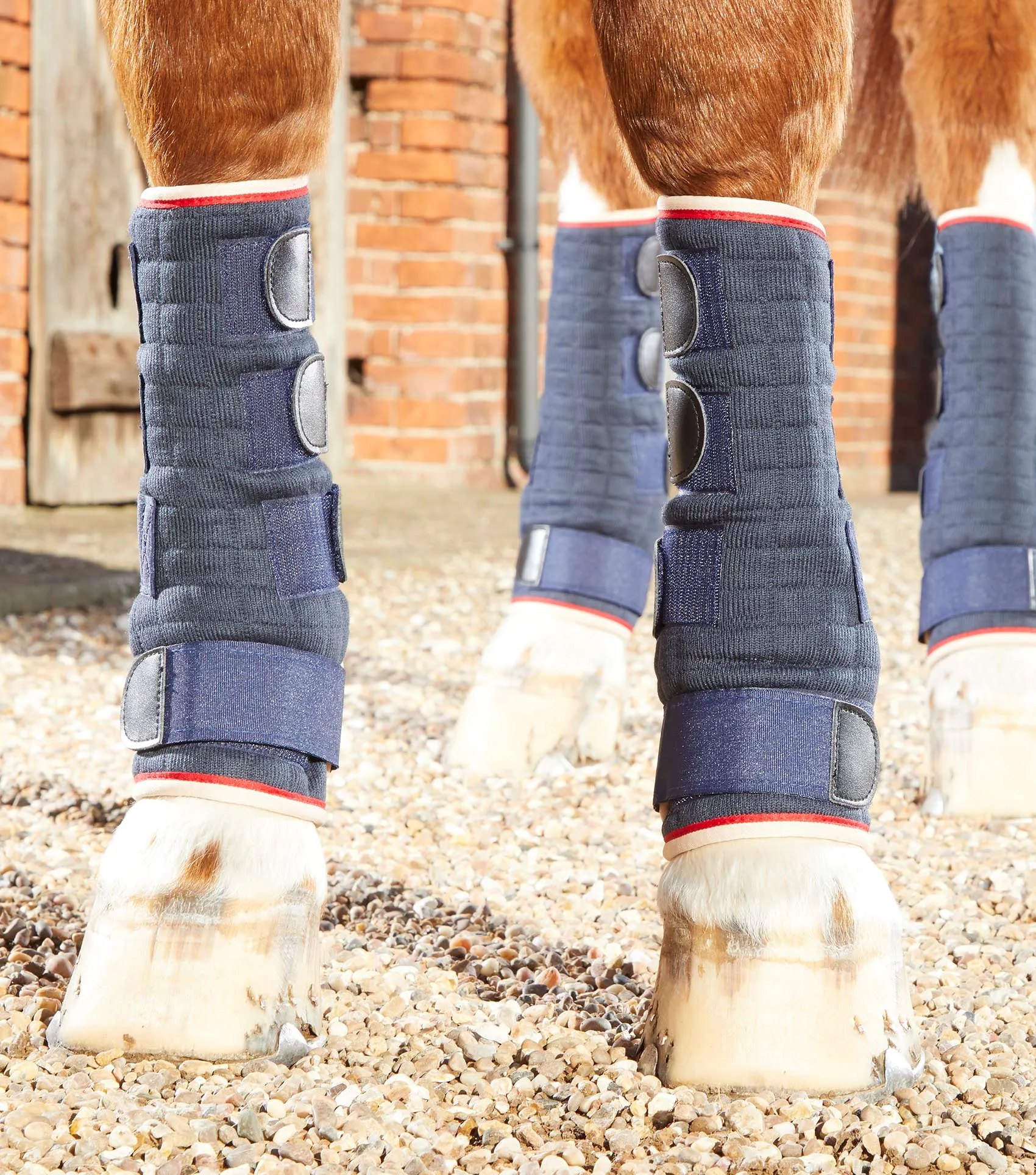 Quick Dry Horse Leg Wraps Navy